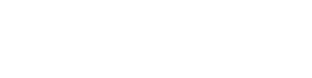 Webdanny Big Logo